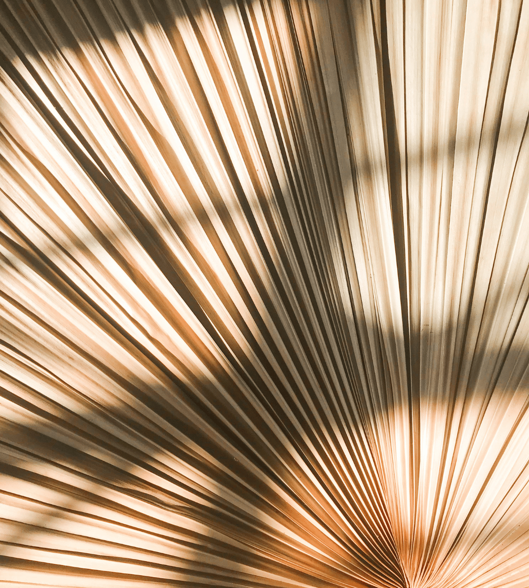 dekorativ-kep-joga-pilates